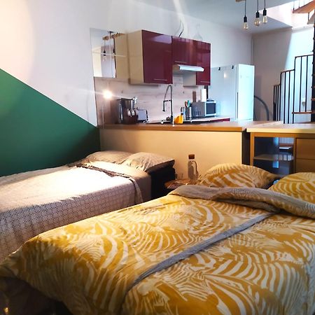 Spacieux Appartement Au Calme 15Min Sud De Lyon Proche Metro Et Gare Confluence Aquarium Gerland Oullins Exterior photo